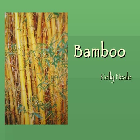 Bamboo