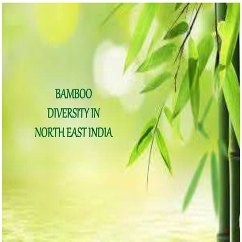 Bamboo diversity in north east India