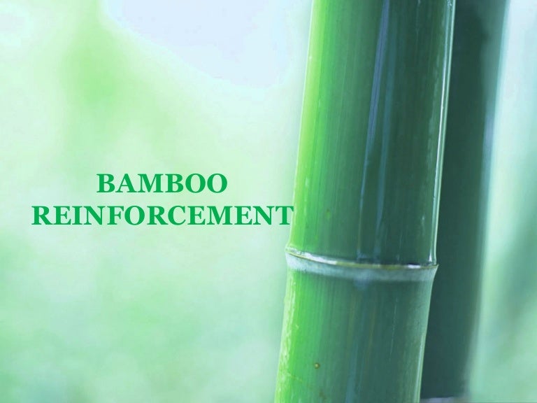 Bamboo Reinforcement