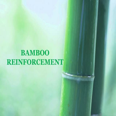 Bamboo Reinforcement 