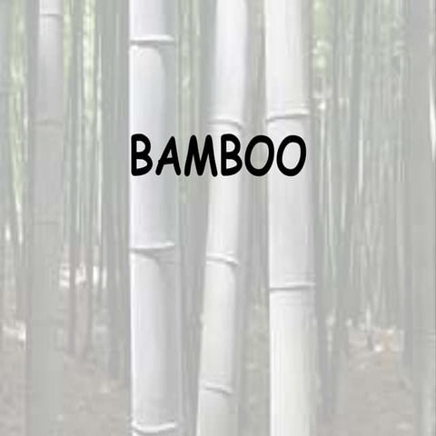 Bamboo presentation