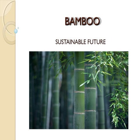 Bamboo & its uses