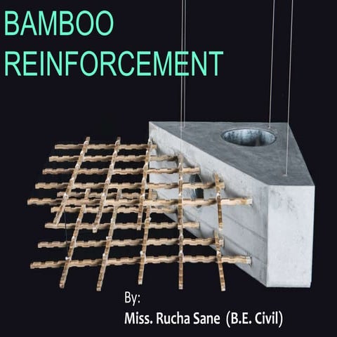 Bamboo reinforcement