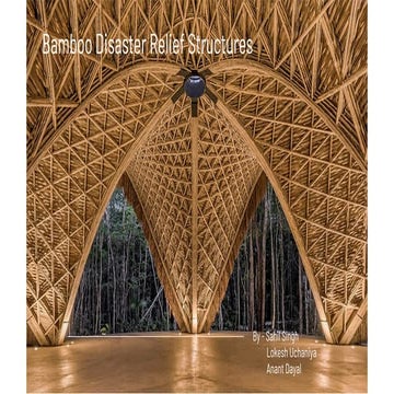 Bamboo relief structure  pdf