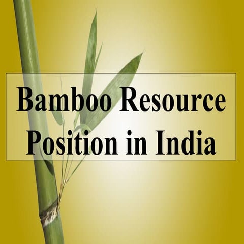 Bamboo Resouce In India