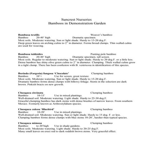 Bamboos in graminetum