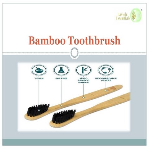 Bamboo toothbrush pdf 17 9-2018