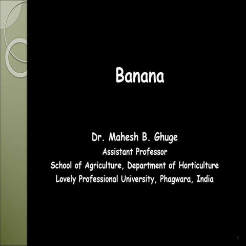 Banana - Dr. Mahesh Ghuge