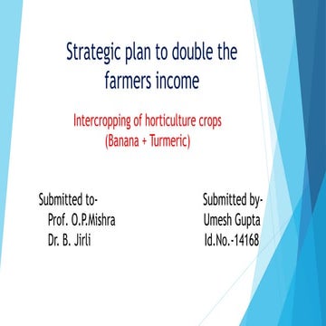 Banana and turmeric Intercropping