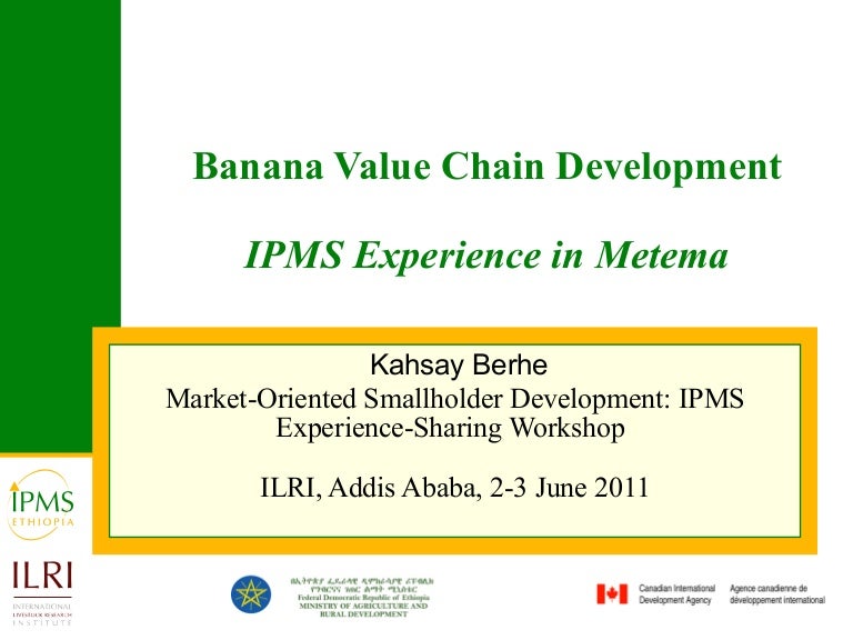 Banana value chain development IPMS experience in Metema