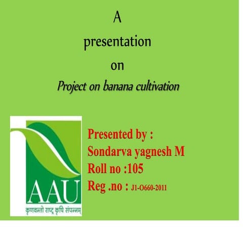  project proposal of Banana cultivation