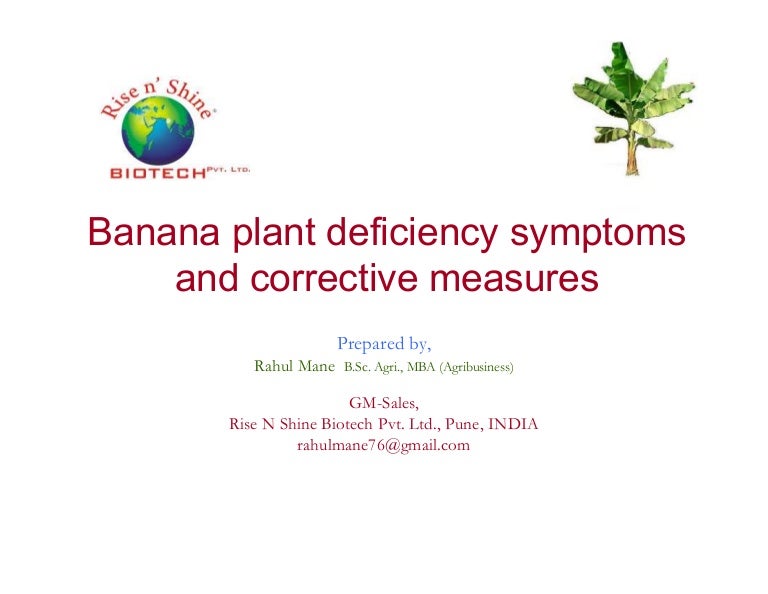 Banana plant deficiency symptoms and corrective measures