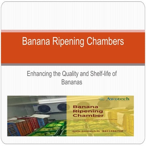 Optimal Banana Ripening Cold Room Techniques Awotech.pptx