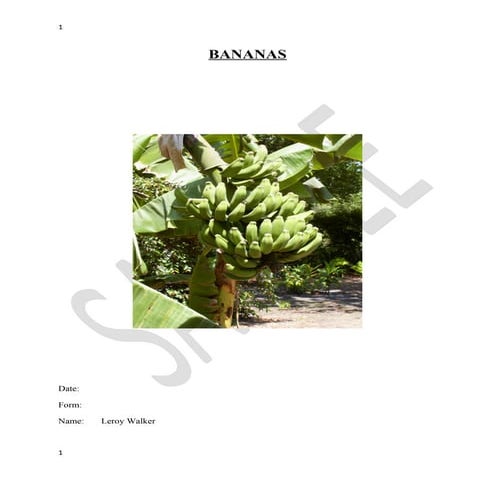 Bananas