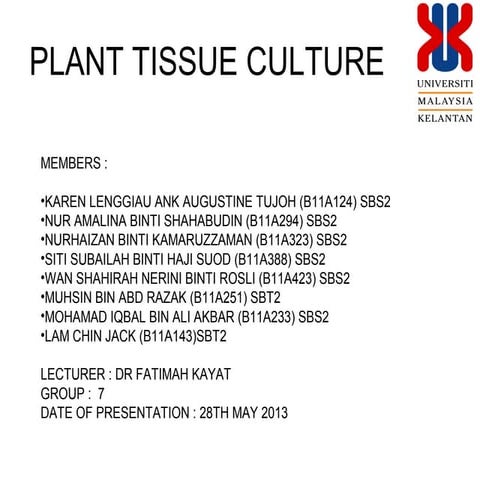 TISSUE CULTURE ON BANANA SUCKERS  AND RICE CALLUS (MICROPROPAGATION)