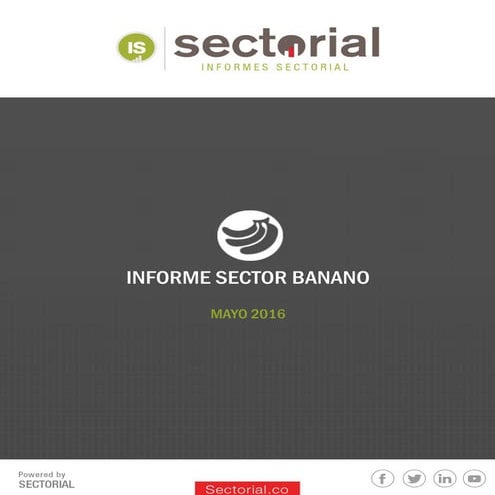 Informe Banano en Colombia 2016