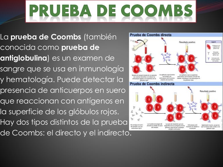 La importancia en la practica de anticuerpos para coombs para el diag…