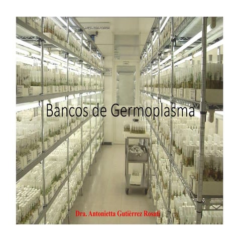 Bancos Germoplasma- Cultivo de células y tejidos.pdf