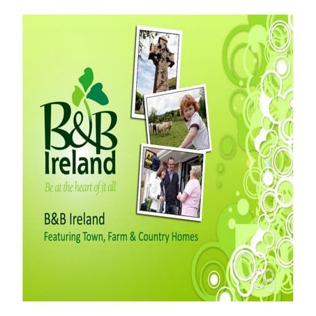 B&amp;B Ireland Affiliate Proposal 2013