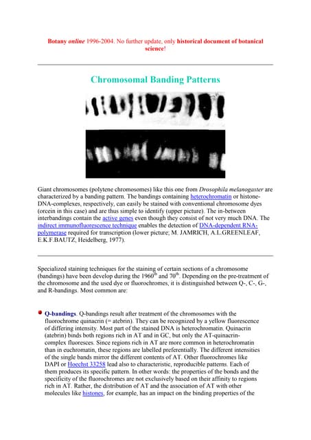 Chromosomal banding technique | PPT