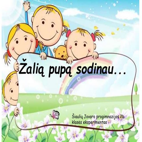 Bandymas su pupelėmis