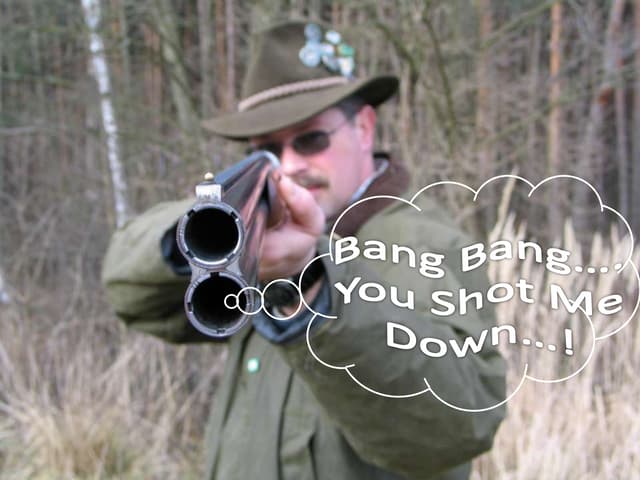 Bang Bang You Shot Me Down