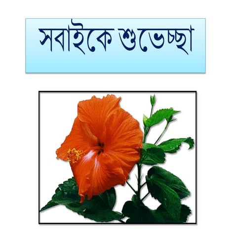 Bangla(ই ঈ) | PPTX