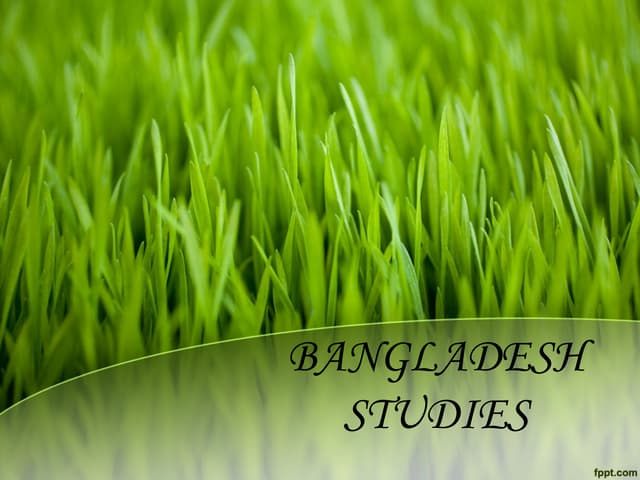 Bangladesh studies vision 2041