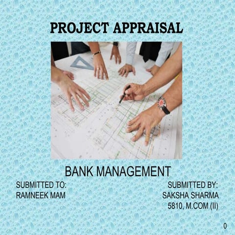 Bank  project appraisal, 