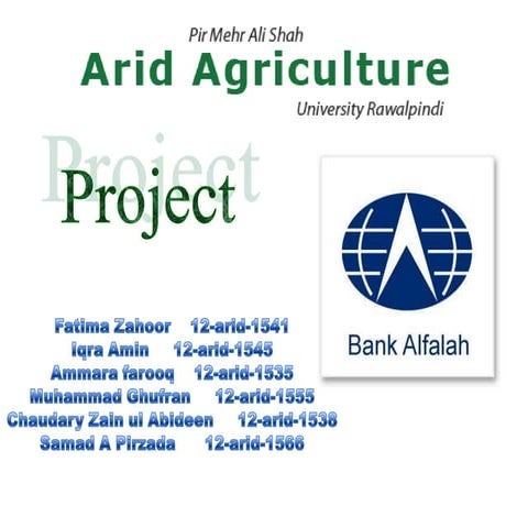 Bank Alfalah 