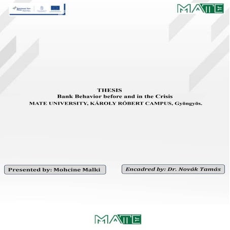 Bank Behavior before and in the Crisis Mohcine malki.docx