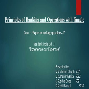 Yes Bank detailed presentation (2008 to 2019)