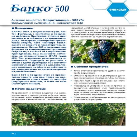 Banko 500 leaflet