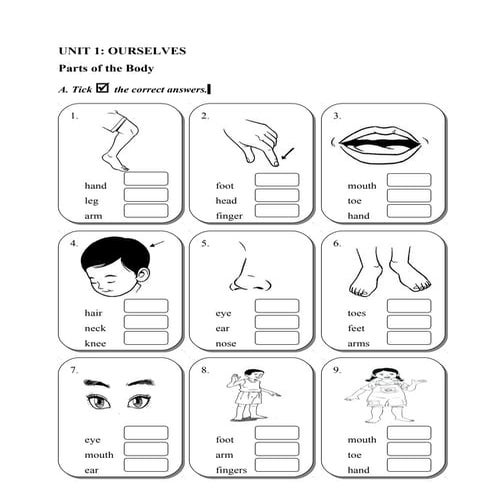 kertas soalan tahun 1 dst