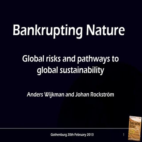 Johan rockström och Anders Wijkman - Bankrupting nature 2013 