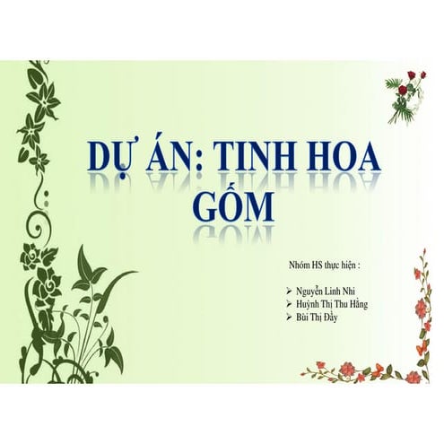 Bao cao chu de tinh hoa gom nhom hs