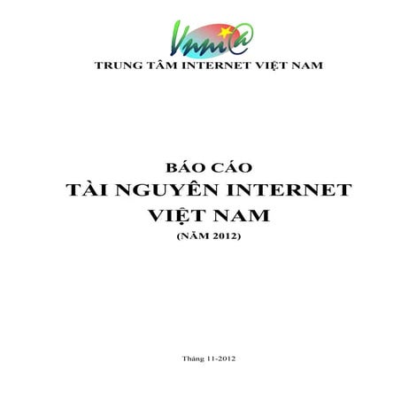 Bao cao tai nguyen internet viet nam 2012