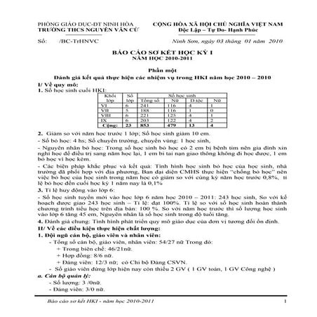 Bao cao sơ ket 2010 2011