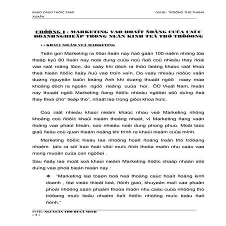 PHAÂN TÍCH TÌNH HÌNH HOAÏT ÑOÄNG VAØ XAÂY DÖÏNG CHIEÁN LÖÔÏC MARKETING NHAÈM ...