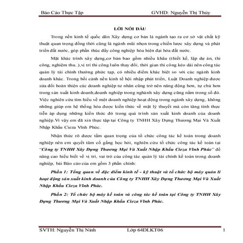 Bao cao thuc tap tong hop cong ty cieza vinh phuc | DOCX