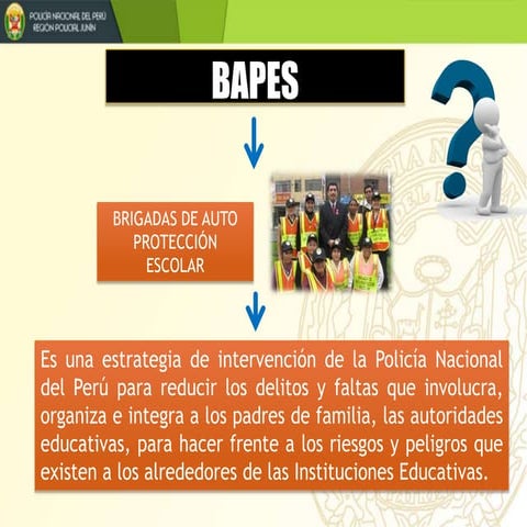BAPES 1.pptx