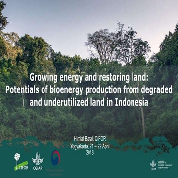 Growing energy and restoring land: Potentials of bioenergy production from de...