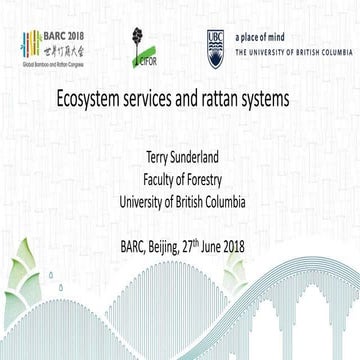 Ecosystem services and rattan systems