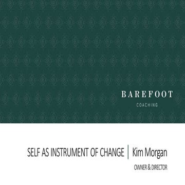 Self as an instrument of change