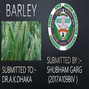 Barley Crop production