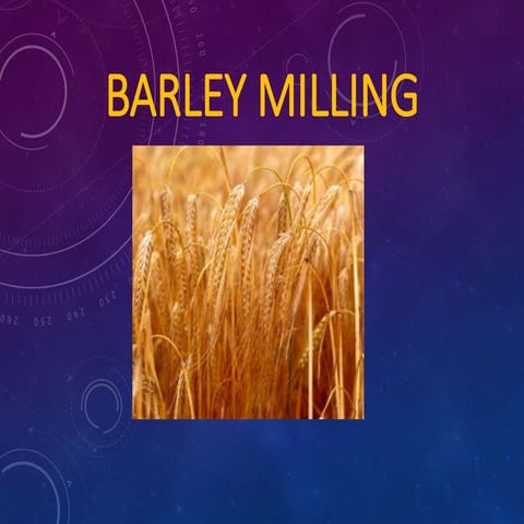 Milling of corn.ppt
