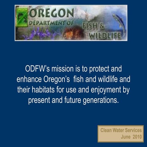 Barnes june 2010 cws beaver presentation comp