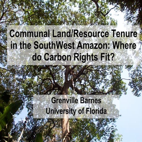 Property rights and a carbon cadastre in a REDD scenario