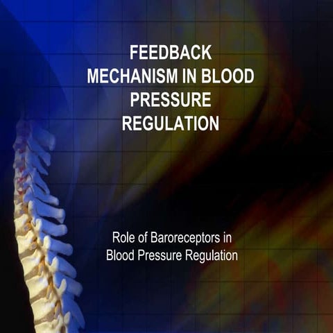 Baroreceptors And Negative Feedback Mechanism