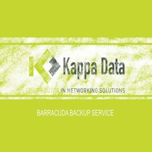Barracuda backup service